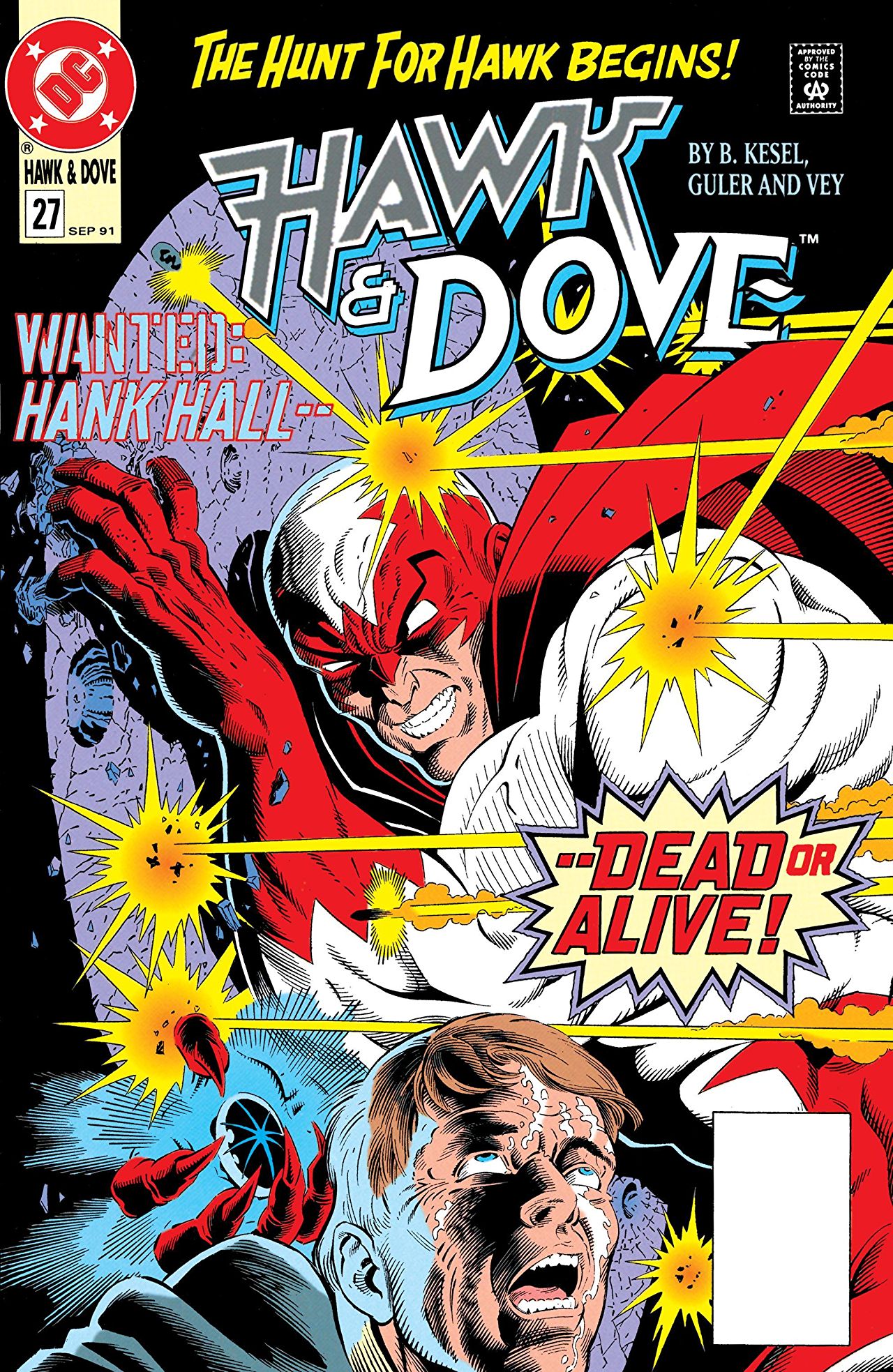 Hawk and Dove #27 cover