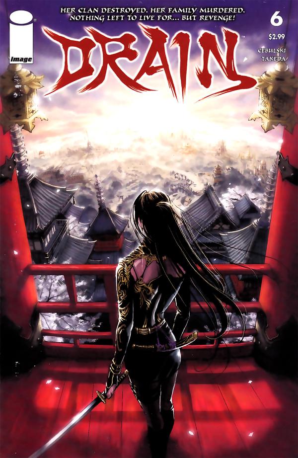 Drain #6 cover