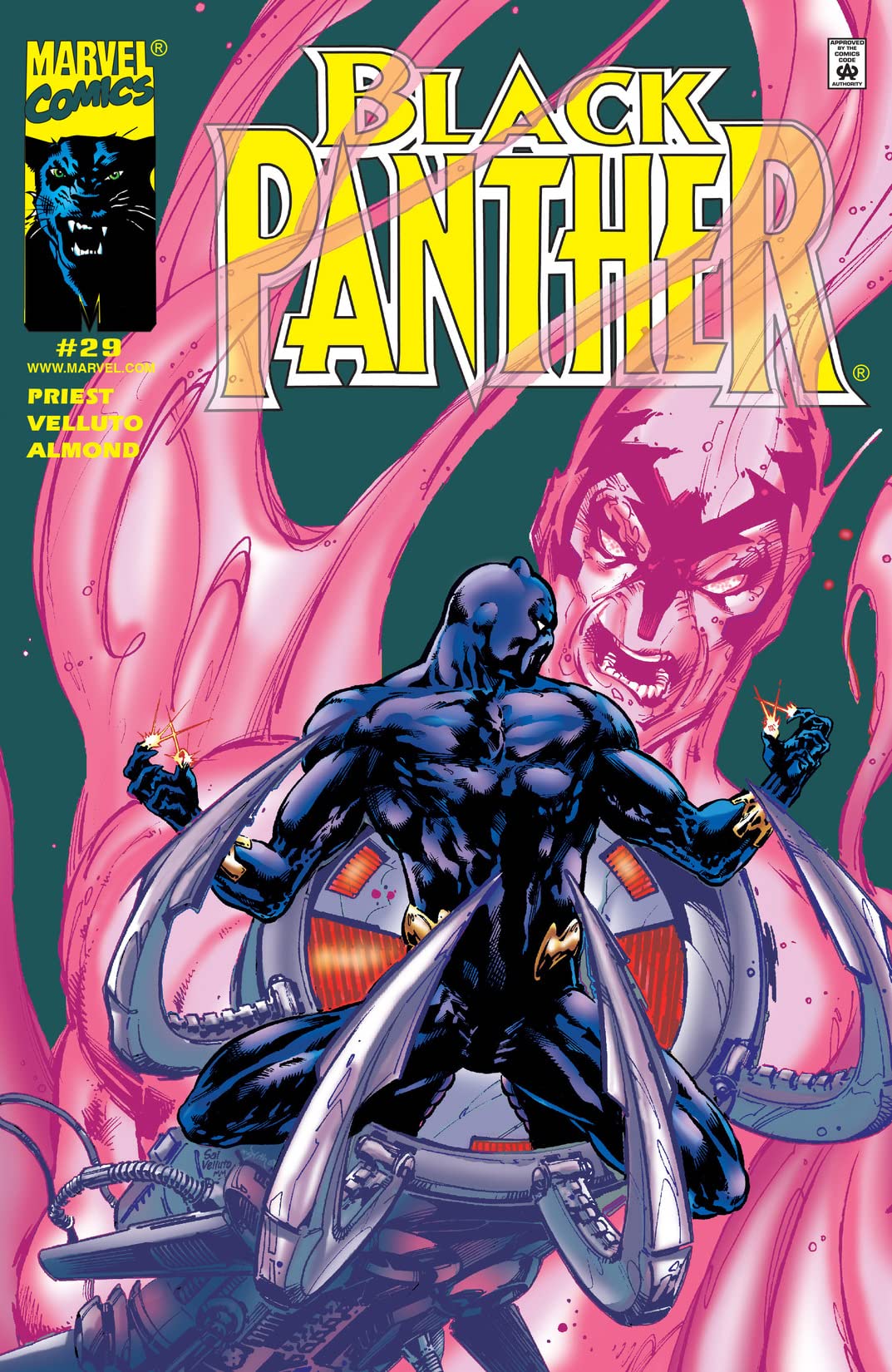 Black Panther #29