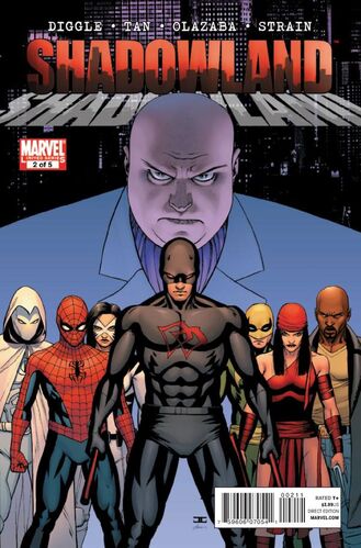 Shadowland #2 cover
