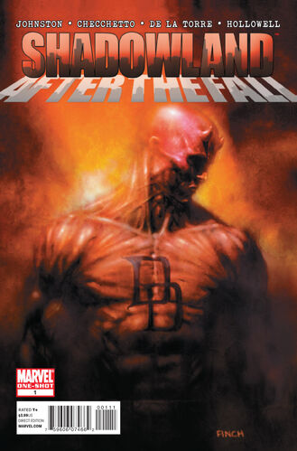 Shadowland: After the Fall #1 cover