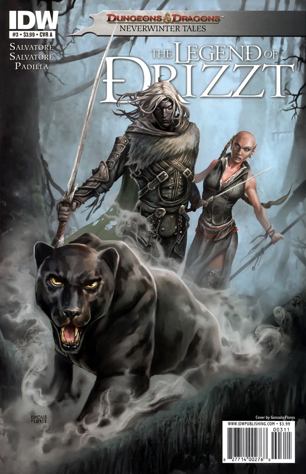Dungeons & Dragons: The Legend of Drizzt: Neverwinter Tales #3