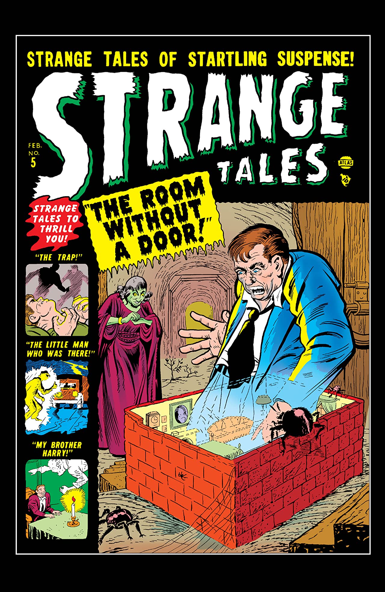 Strange Tales #5 cover
