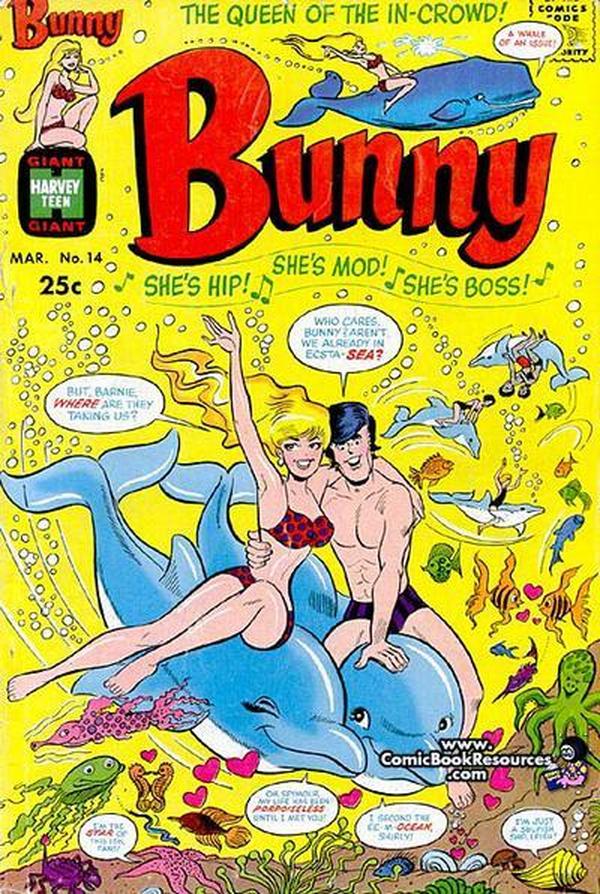 Bunny #14 cover
