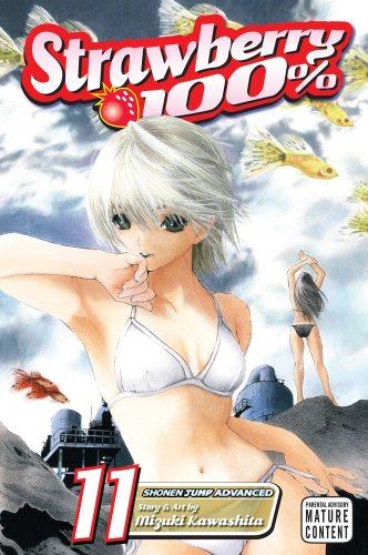 Strawberry 100% #11 cover