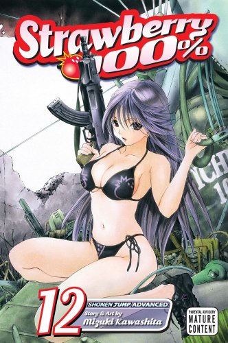 Strawberry 100% #12 cover