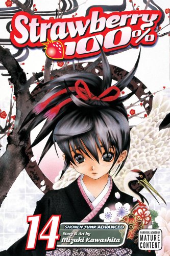 Strawberry 100% #14 cover