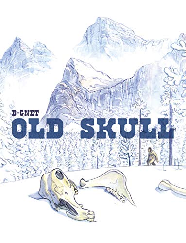 Old Skull