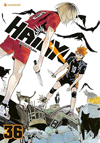 Haikyu!! #36 cover
