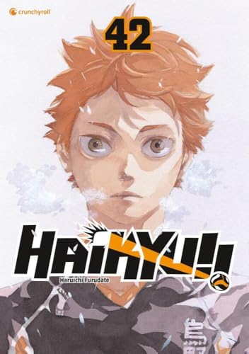 Haikyu!! #42 cover