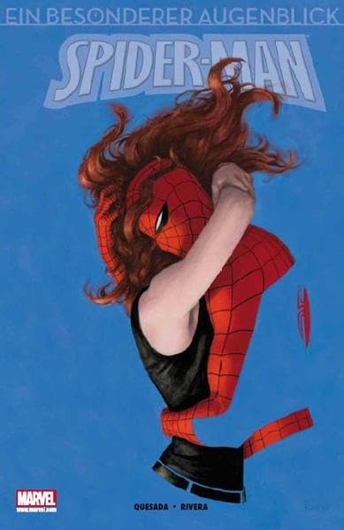 Spider-Man - Ein besonderer Augenblick #[nn]