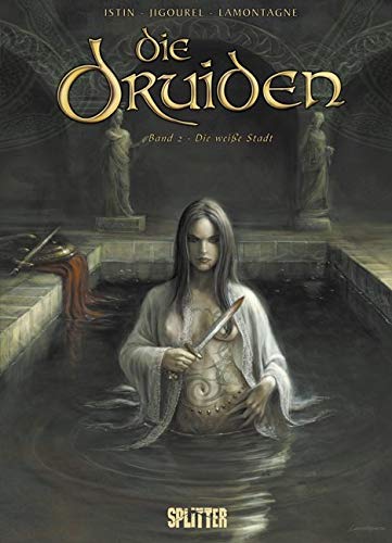 Die Druiden #2 cover