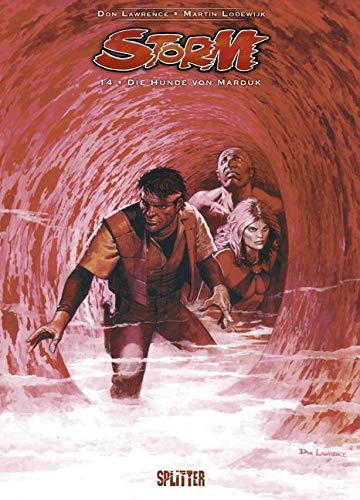 Storm #14 cover