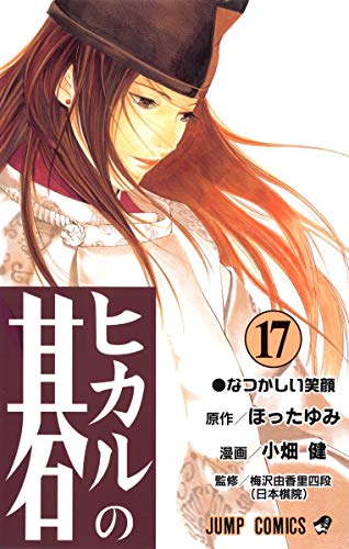 ヒカルの碁 [Hikaru no Go] #17 cover