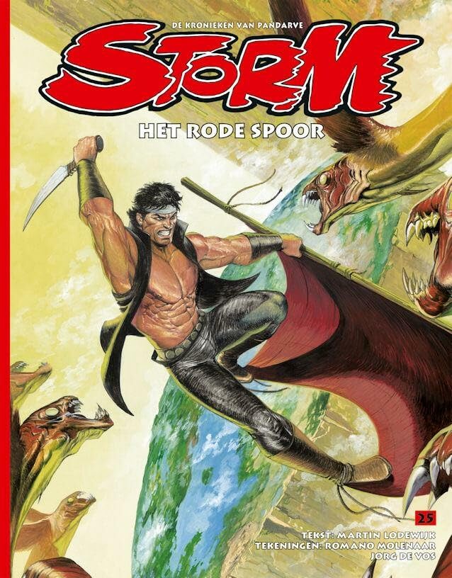 Storm #25