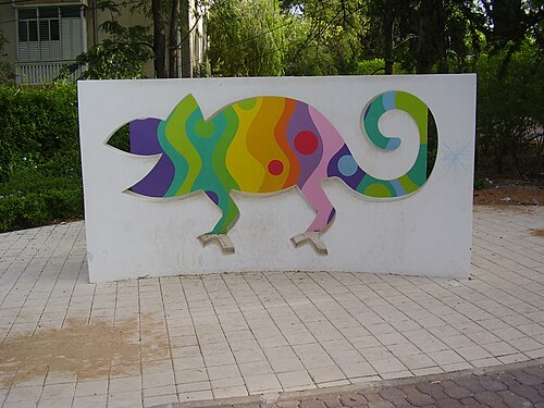 Digital Chameleon