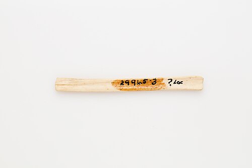J. Bone