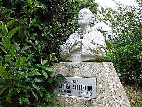 Andrea Sorrentino