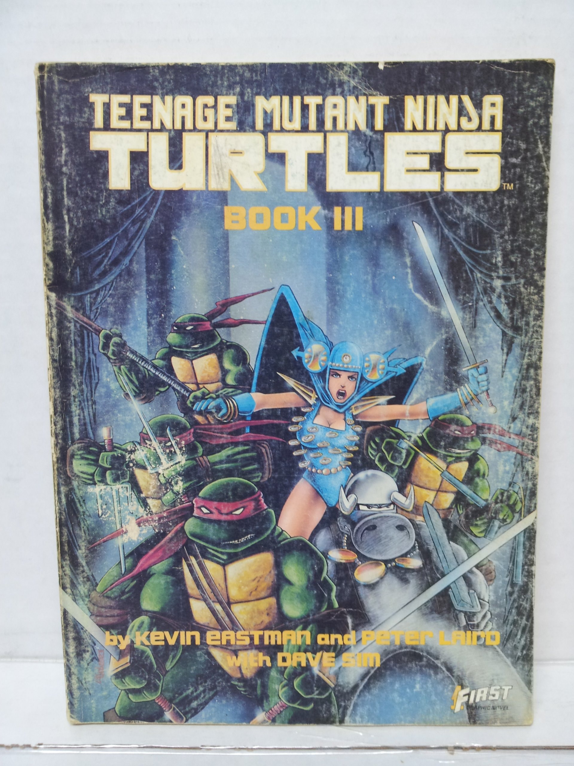 Teenage Mutant Ninja Turtles #3 cover