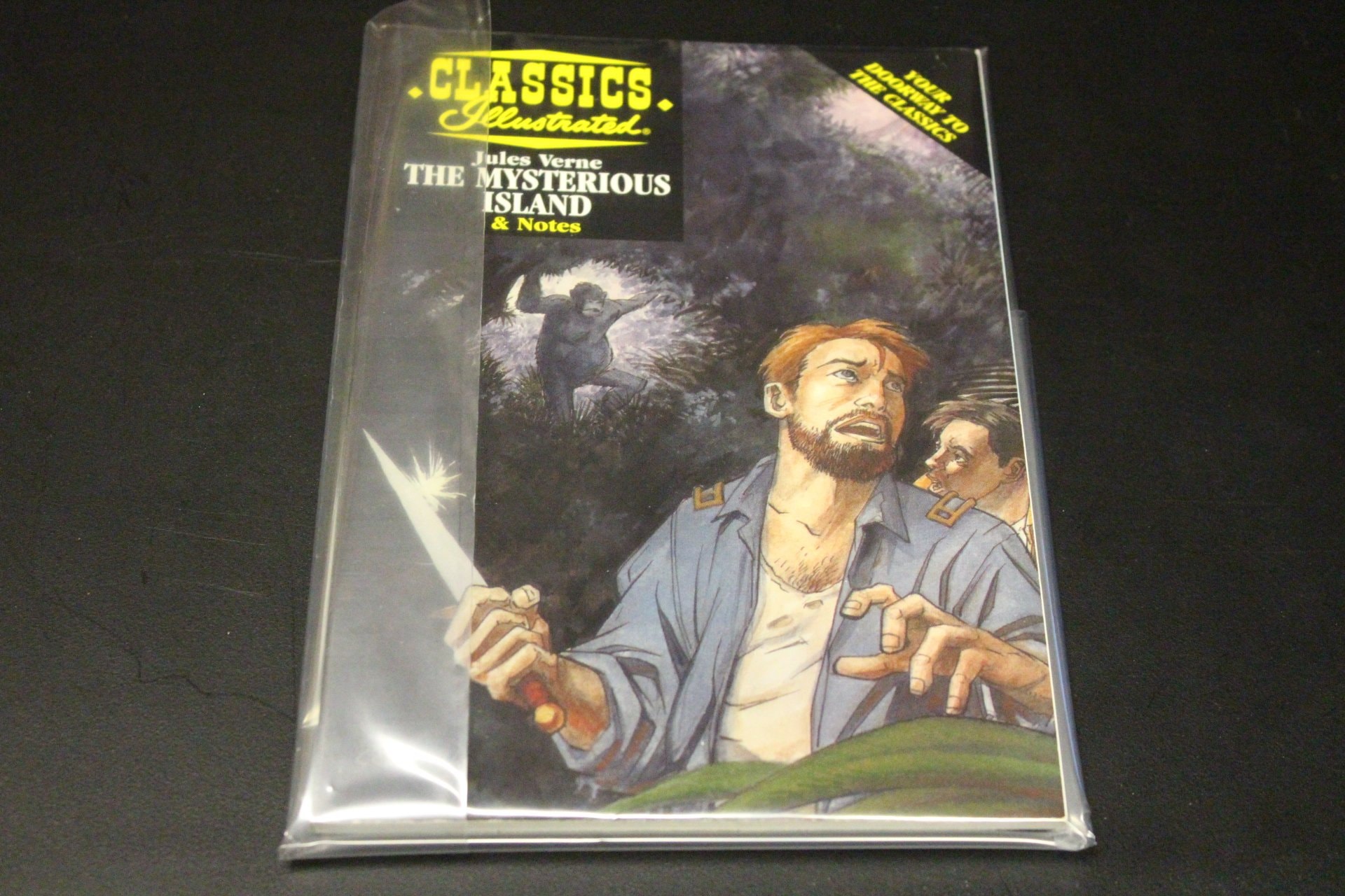 Classics Illustrated #24