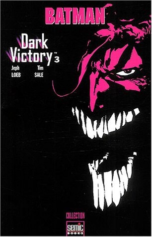 Batman: Dark Victory #3 cover