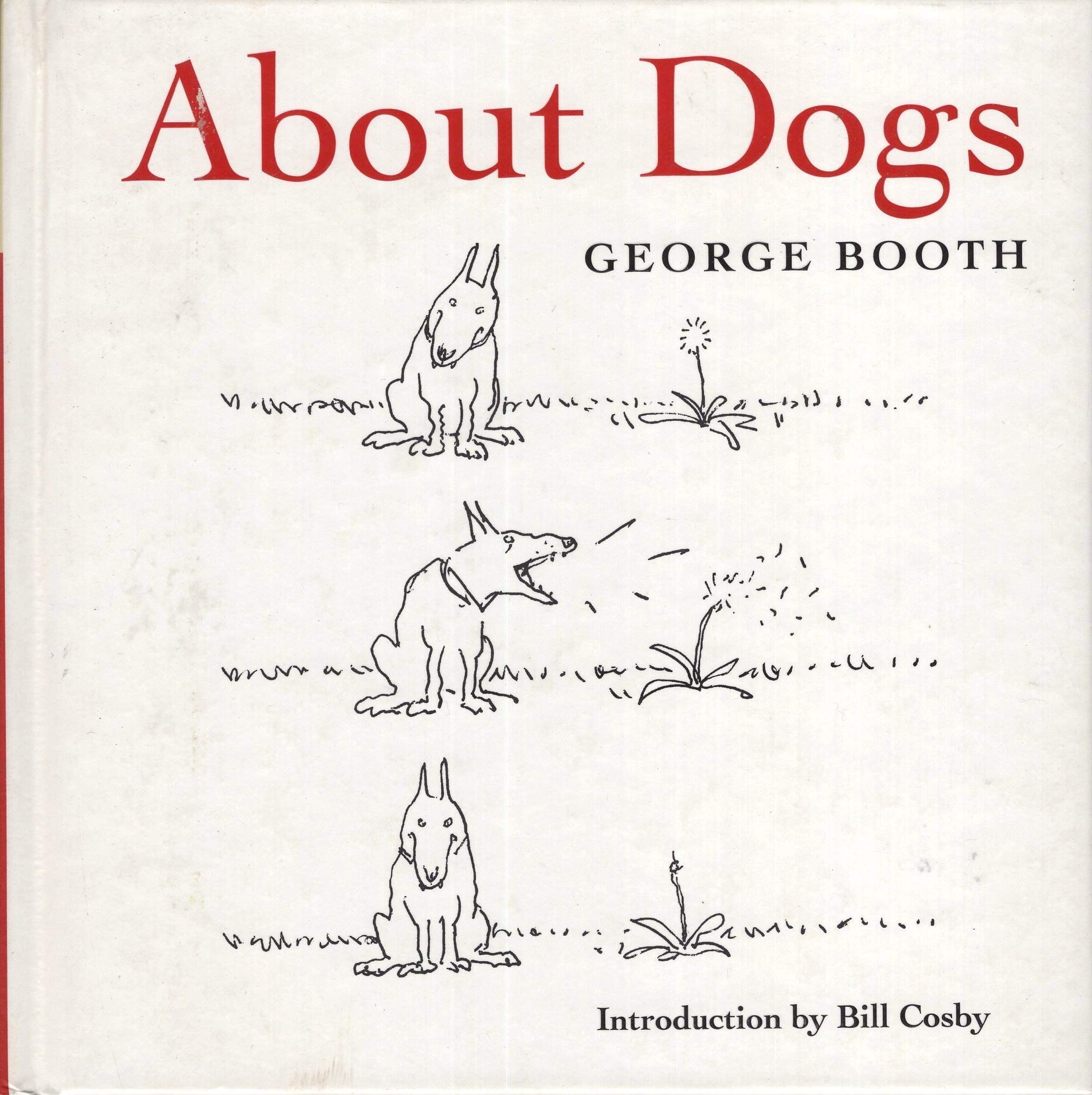 About Dogs #[nn]