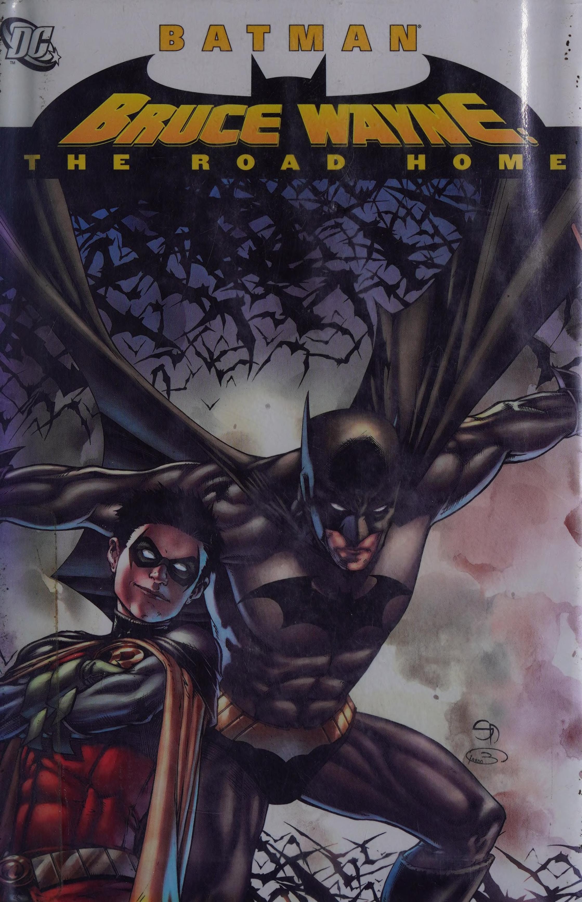 Batman: Bruce Wayne - The Road Home