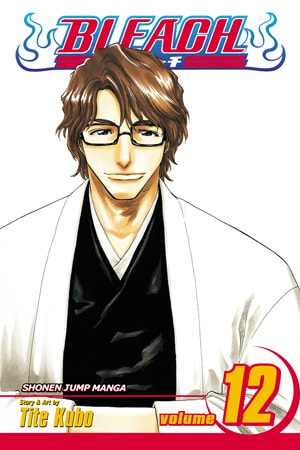 Bleach #12 cover