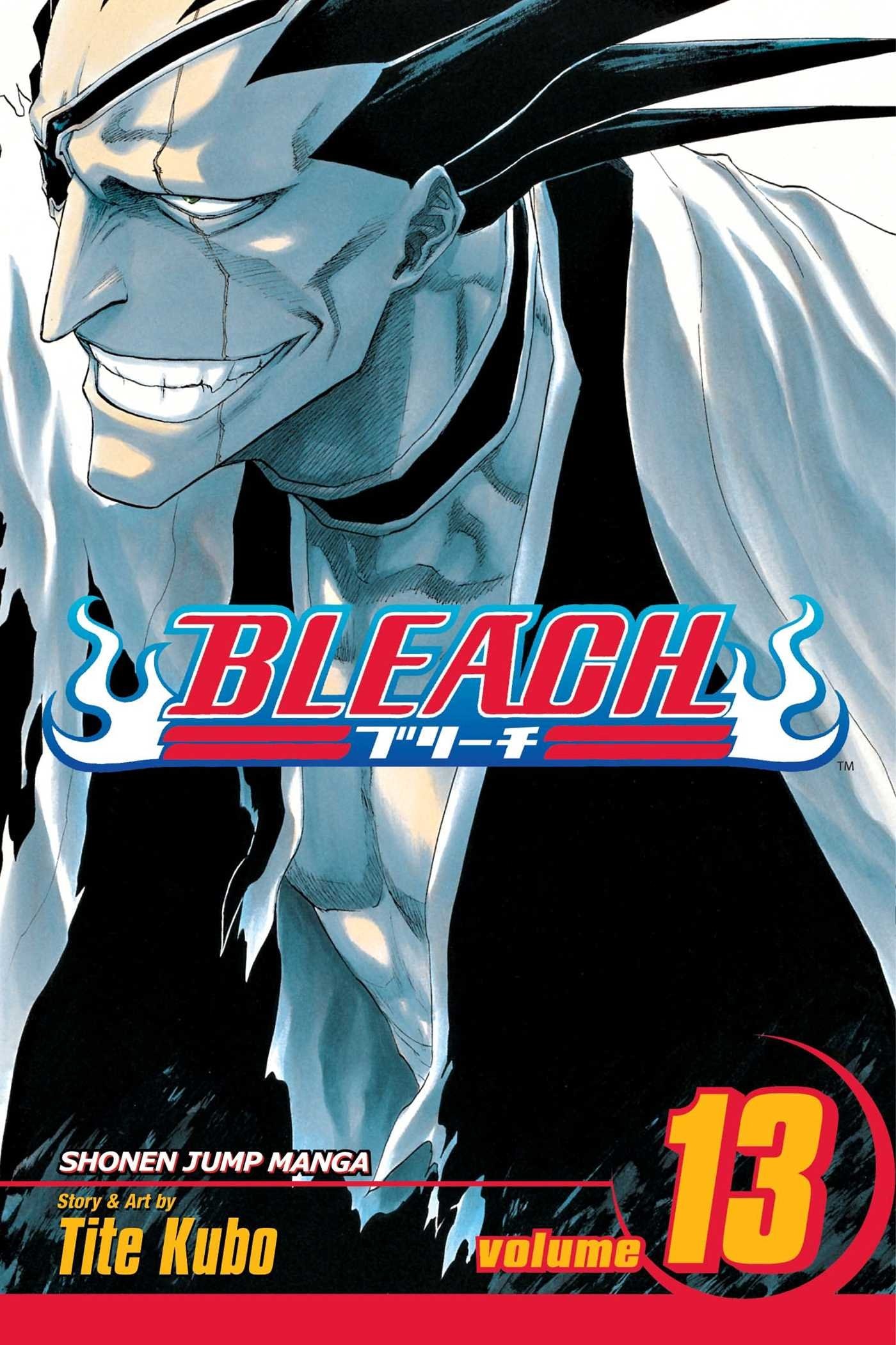 Bleach #13 cover