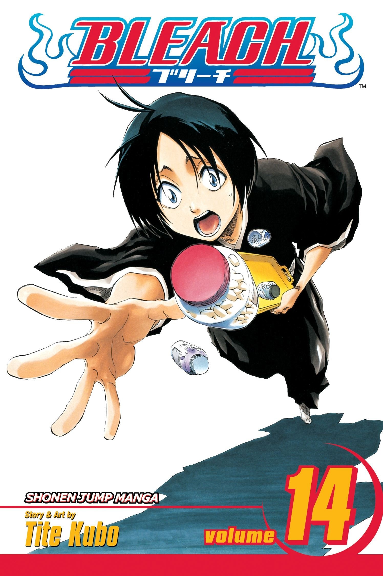 Bleach #14 cover
