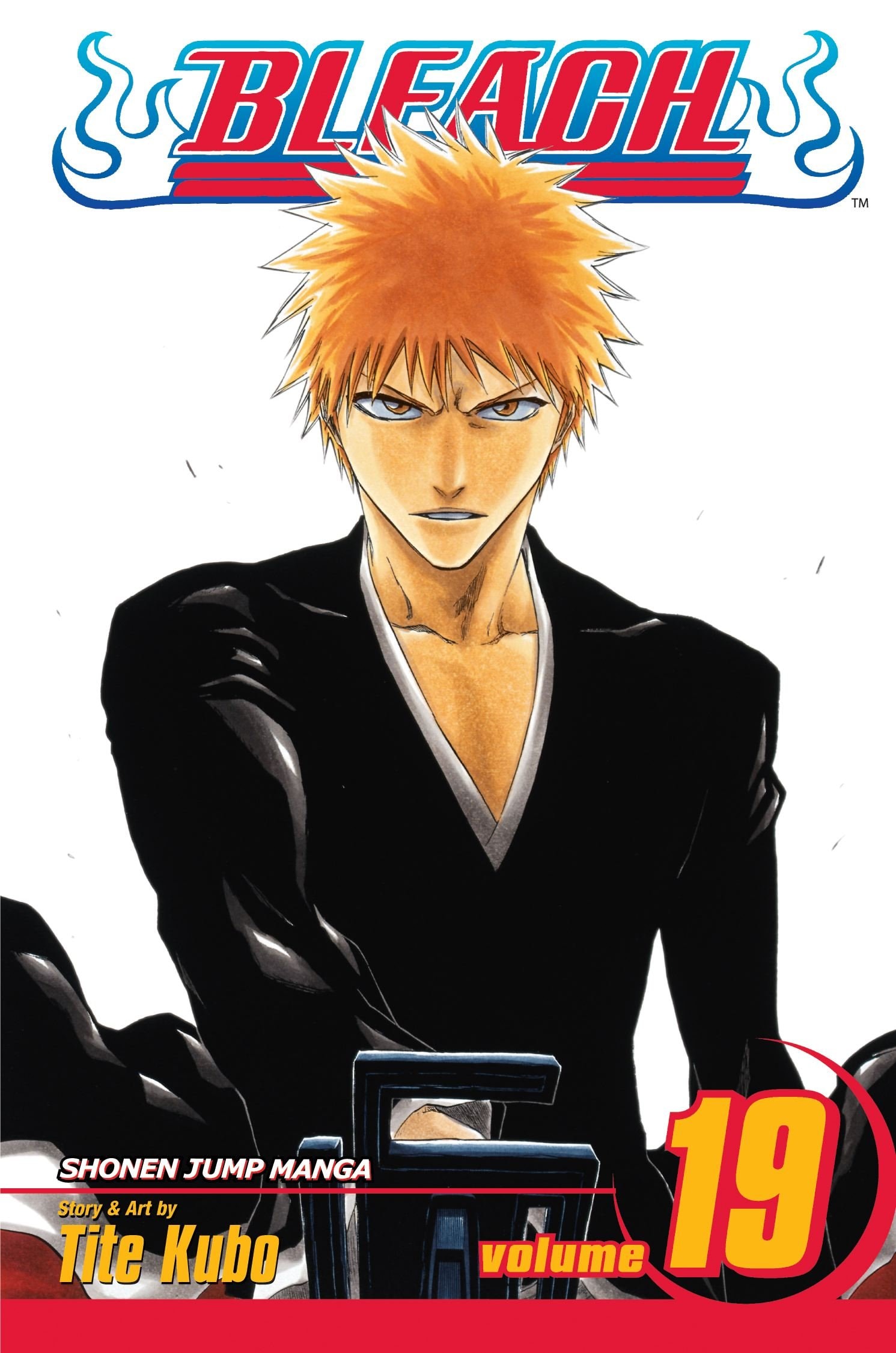 Bleach #19 cover