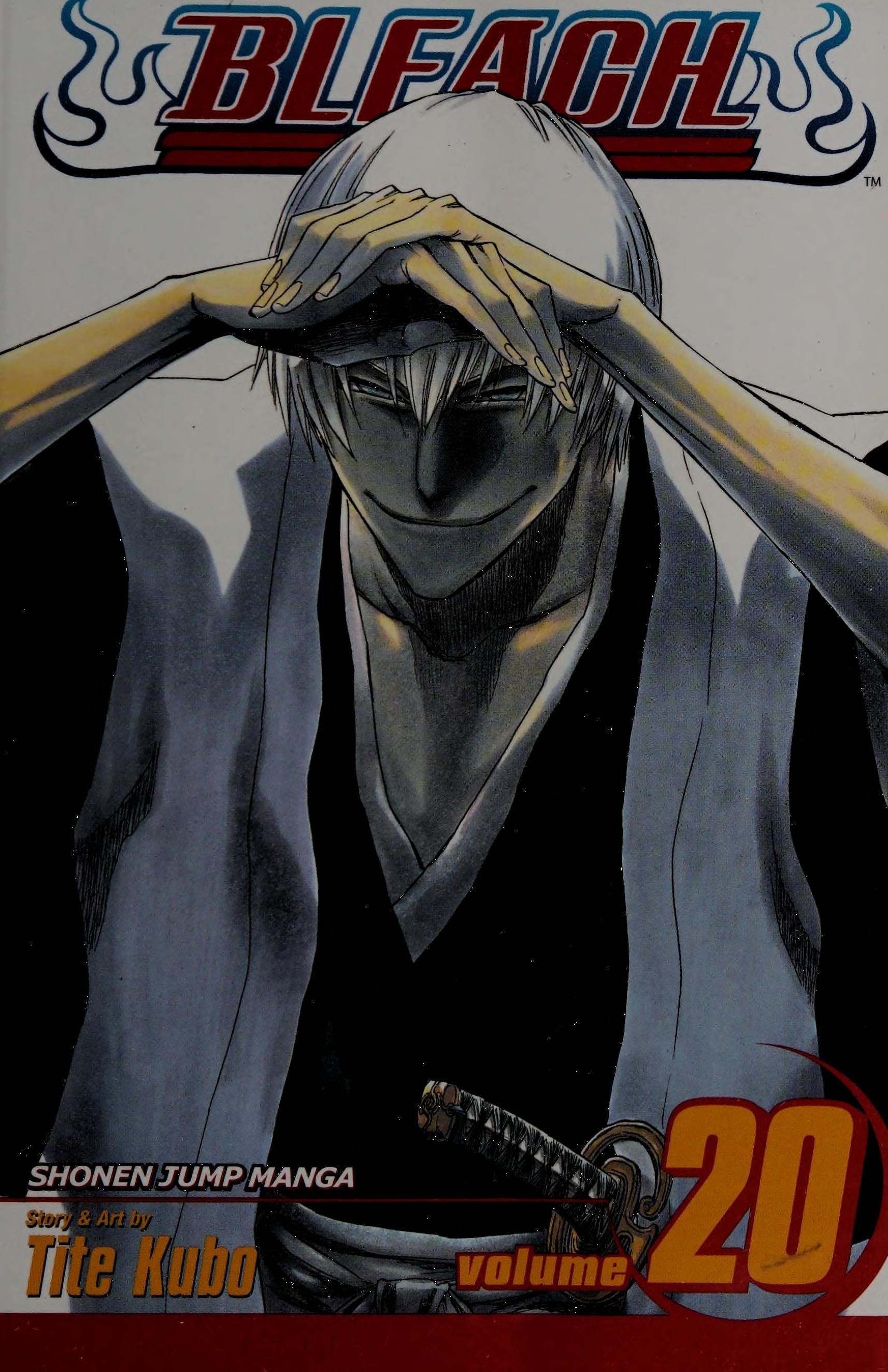 Bleach #20 cover