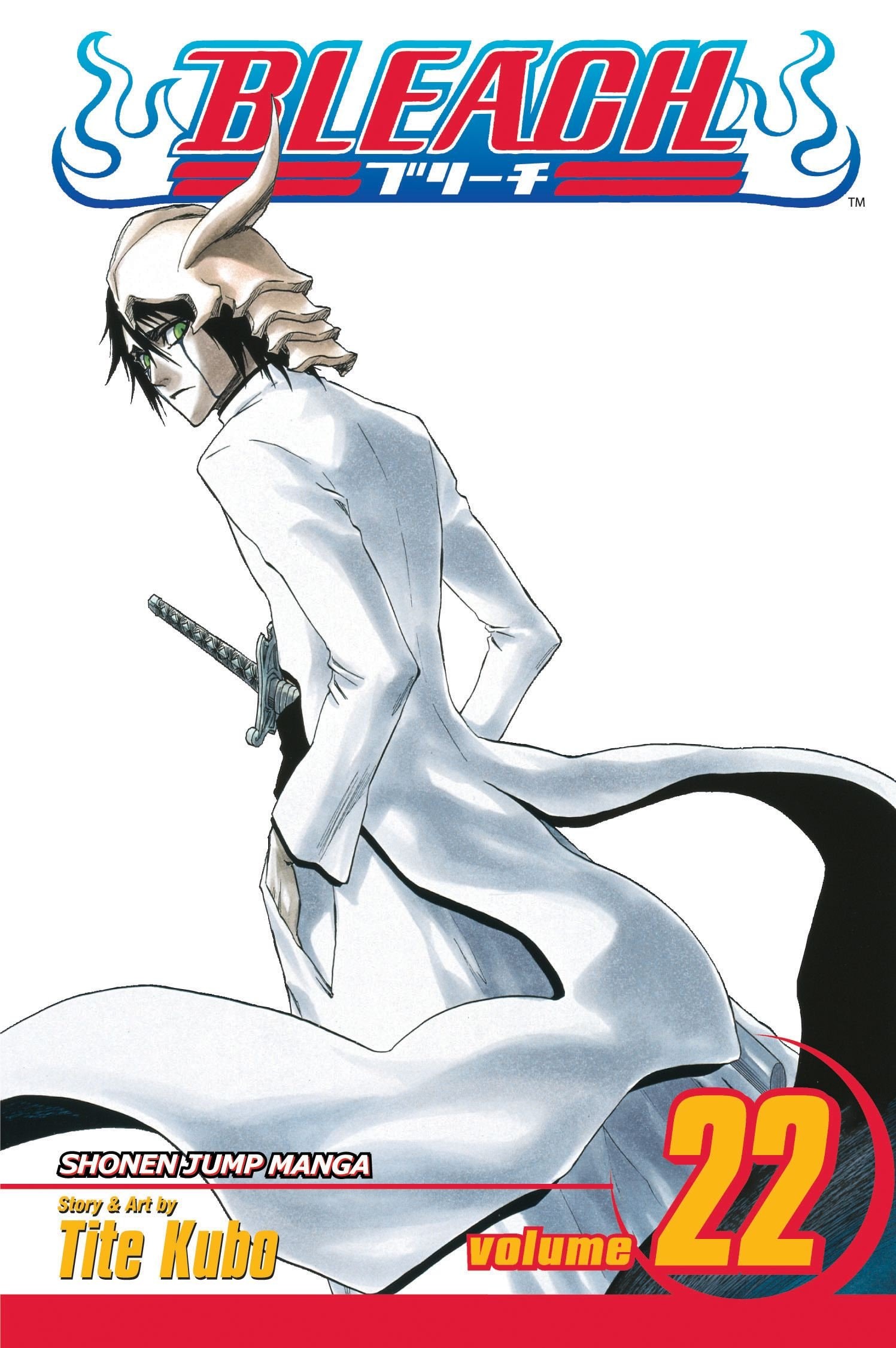 Bleach #22 cover
