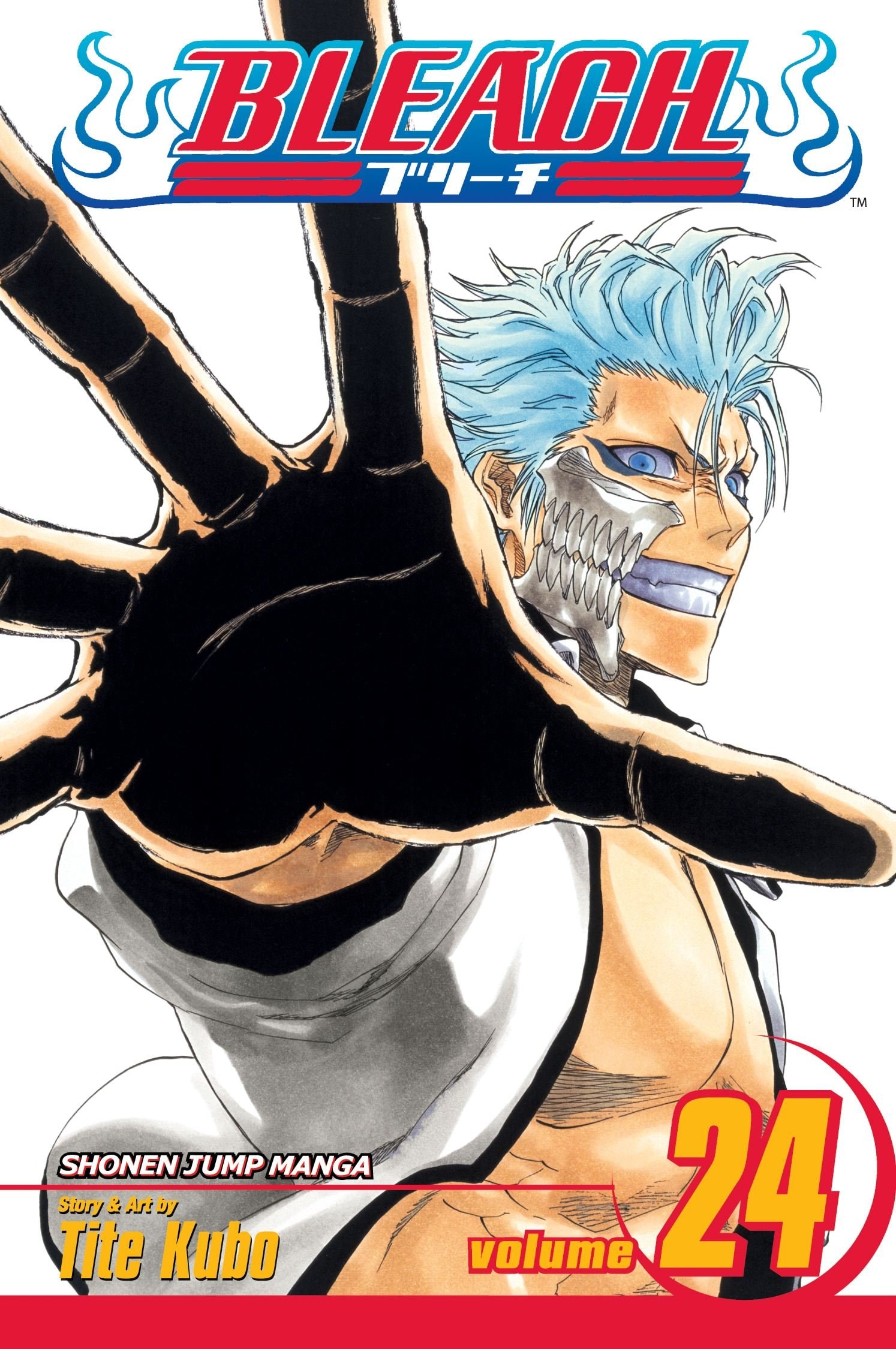 Bleach #24 cover