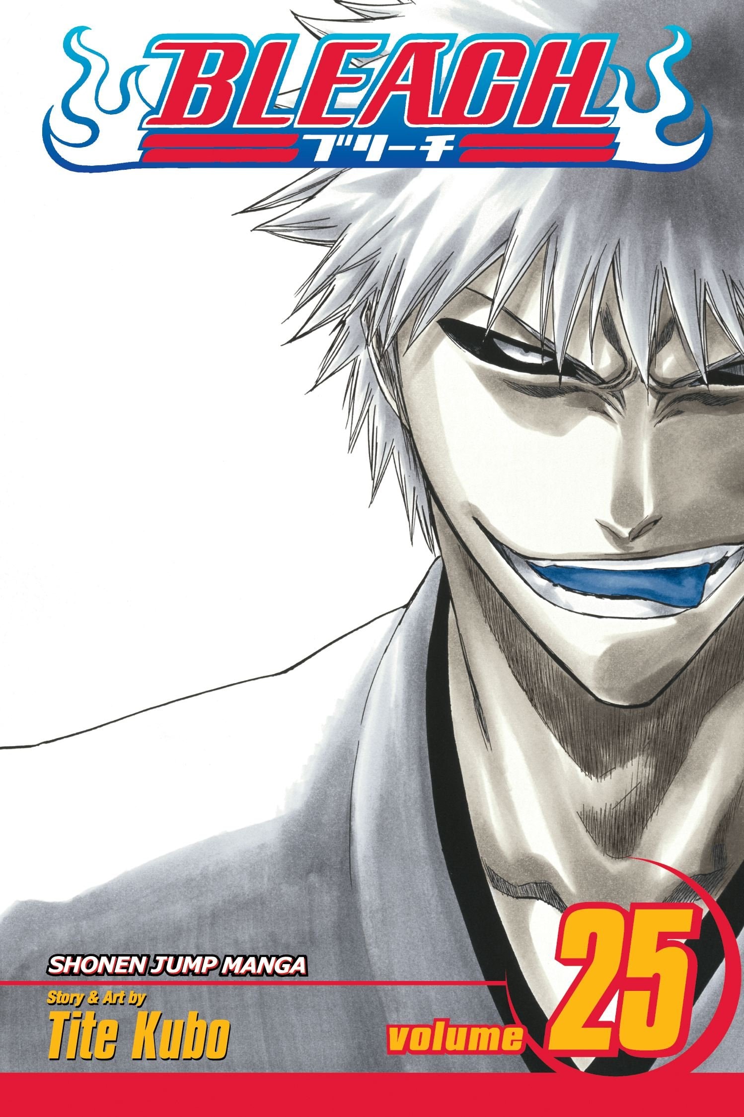 Bleach #25 cover