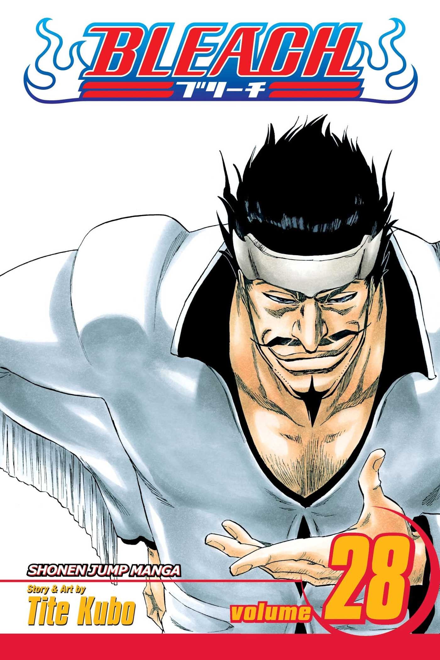 Bleach #28 cover