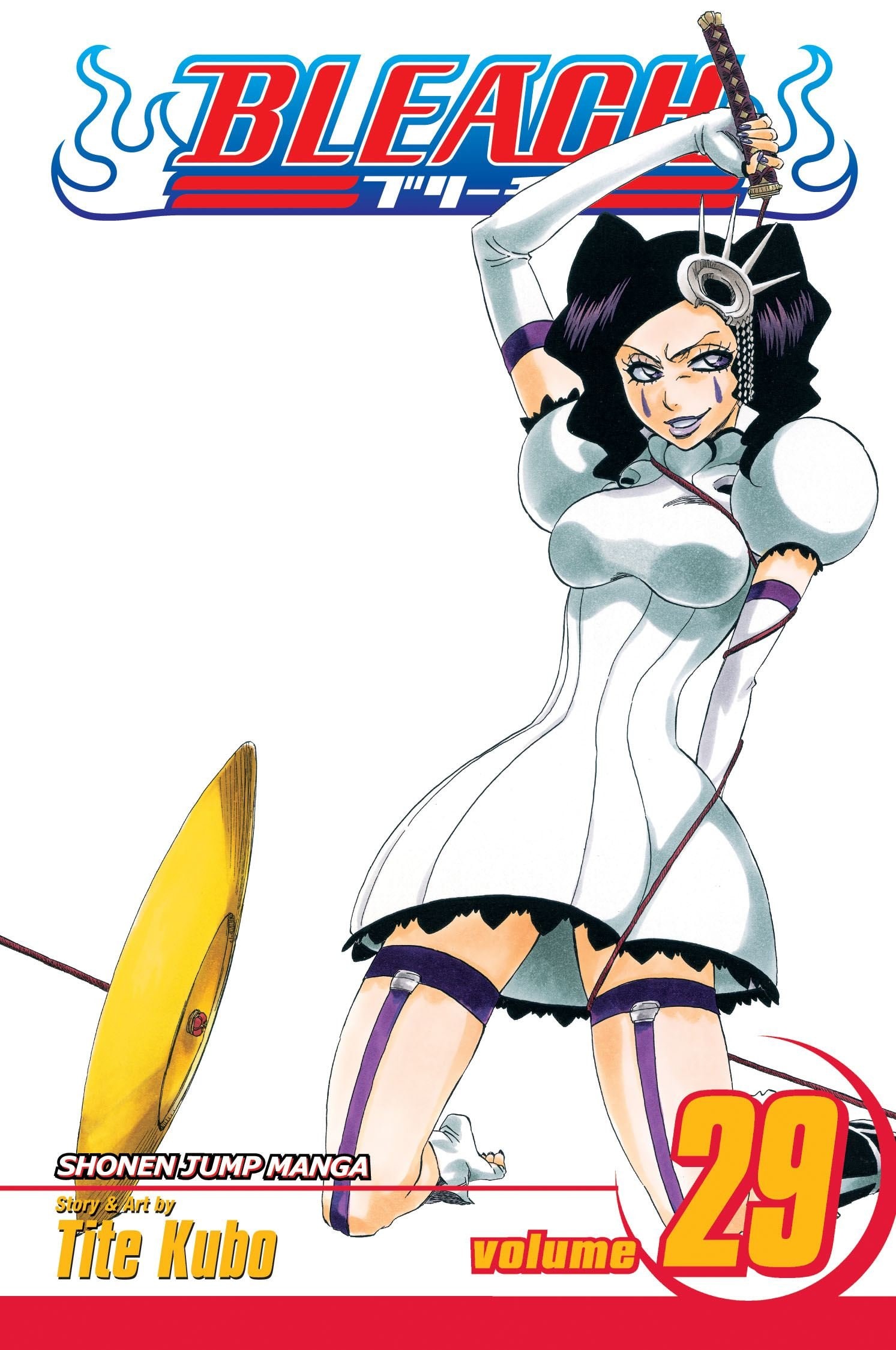 Bleach #29 cover