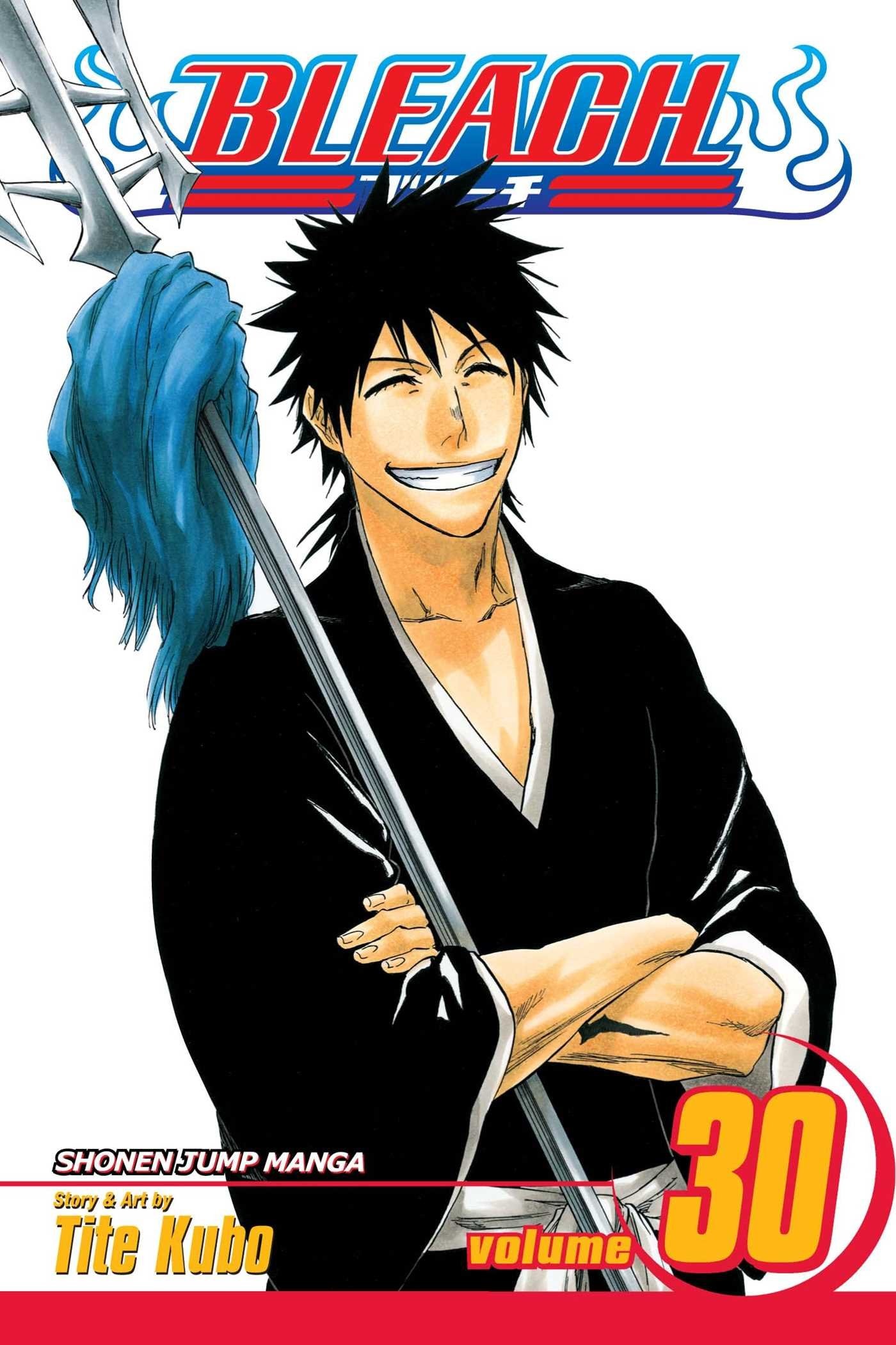 Bleach #30 cover