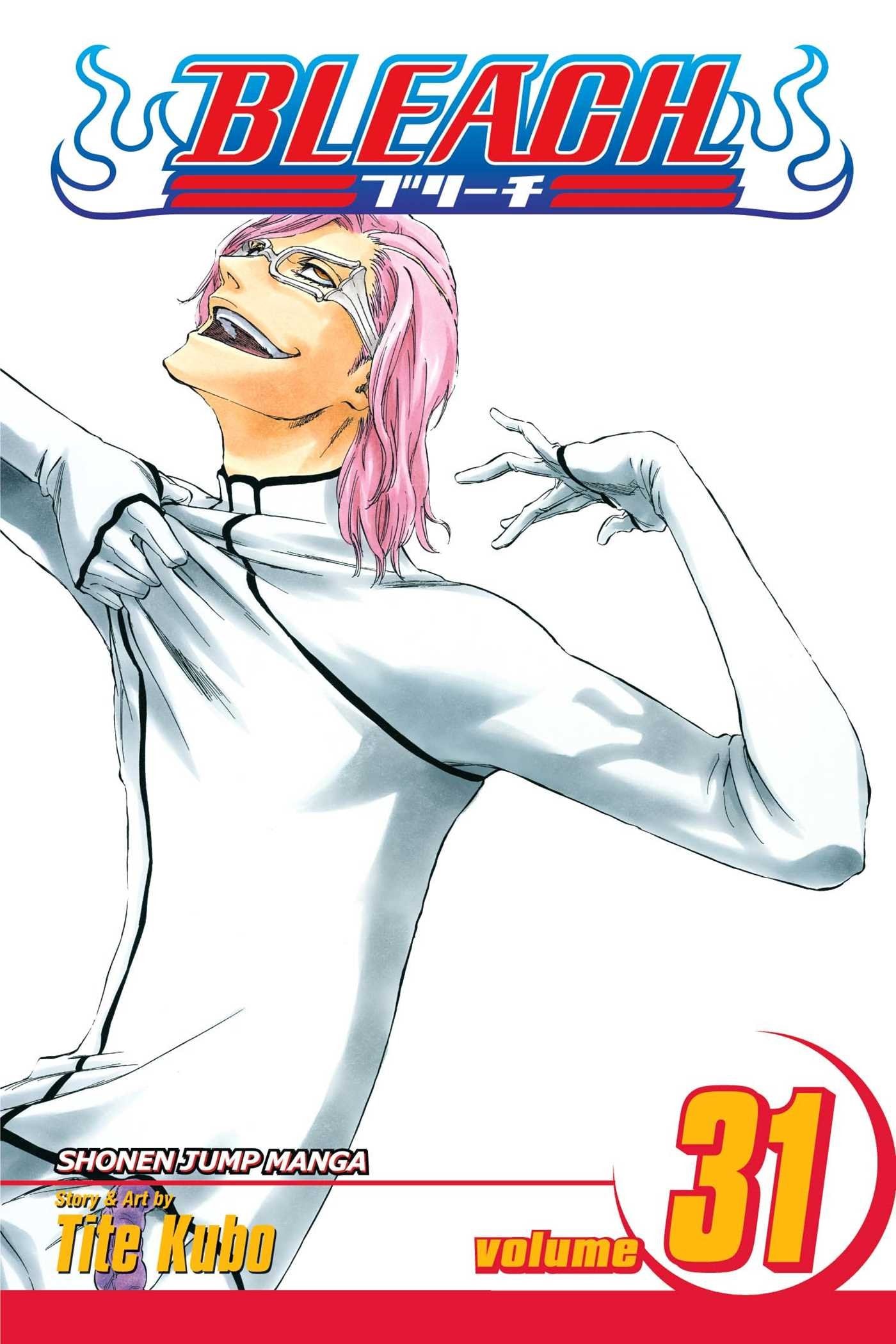 Bleach #31 cover