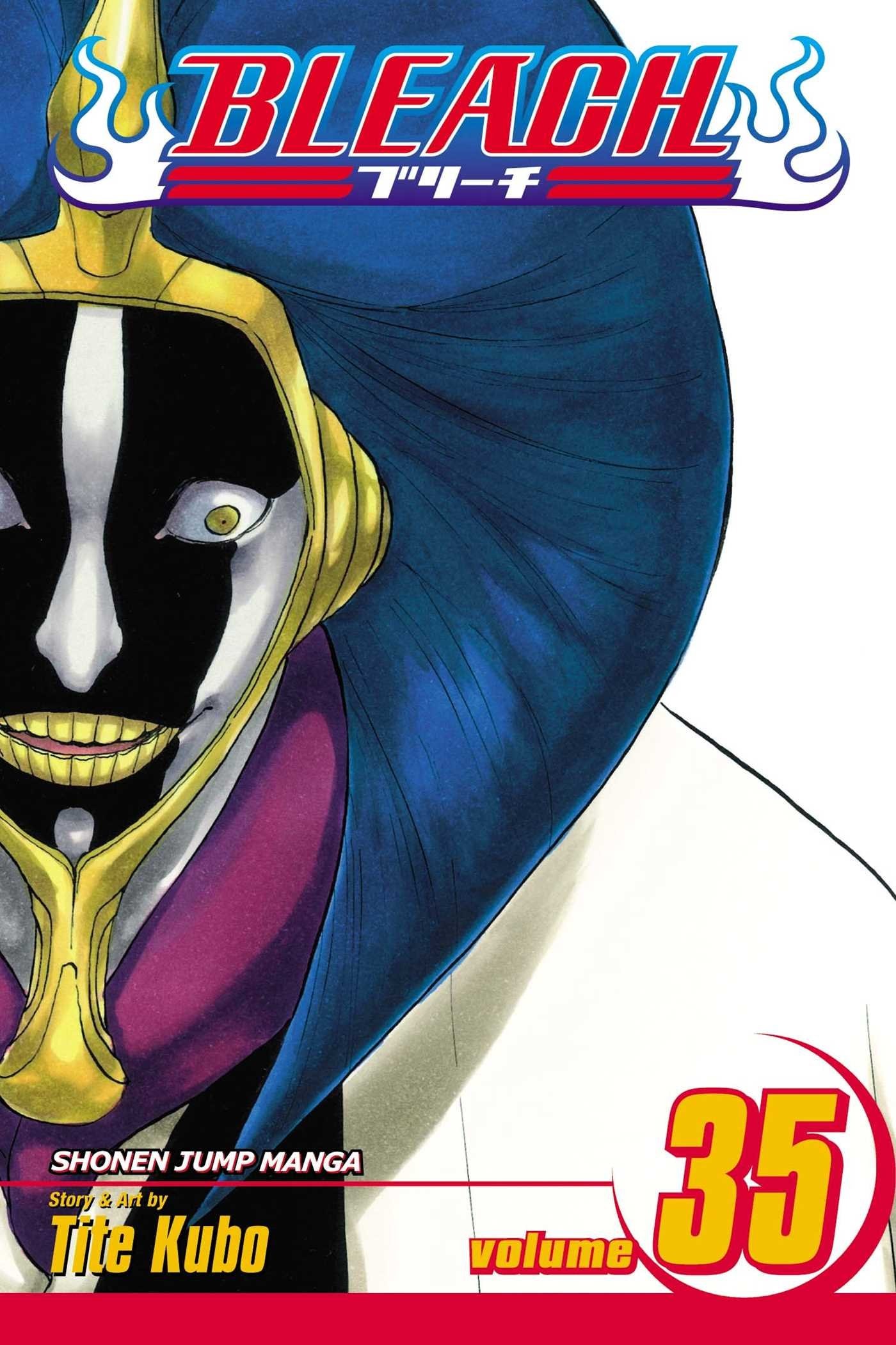 Bleach #35 cover