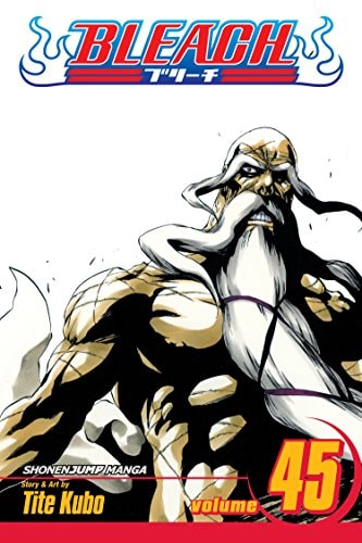 Bleach #45 cover