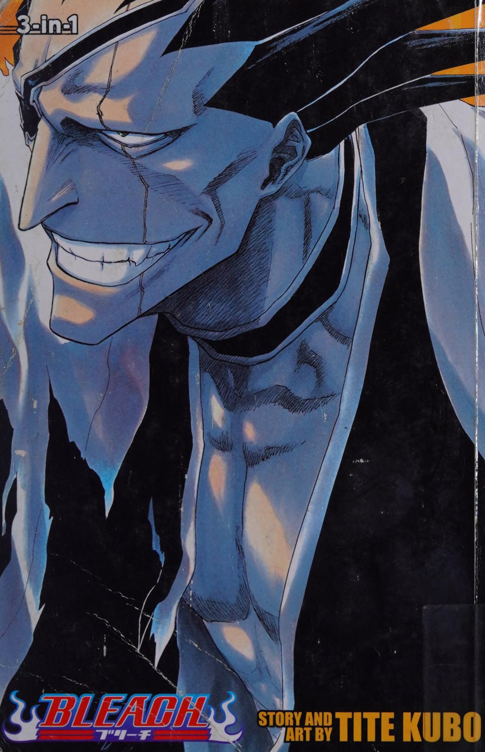 Bleach 3-in-1 #5 (13-14-15) cover
