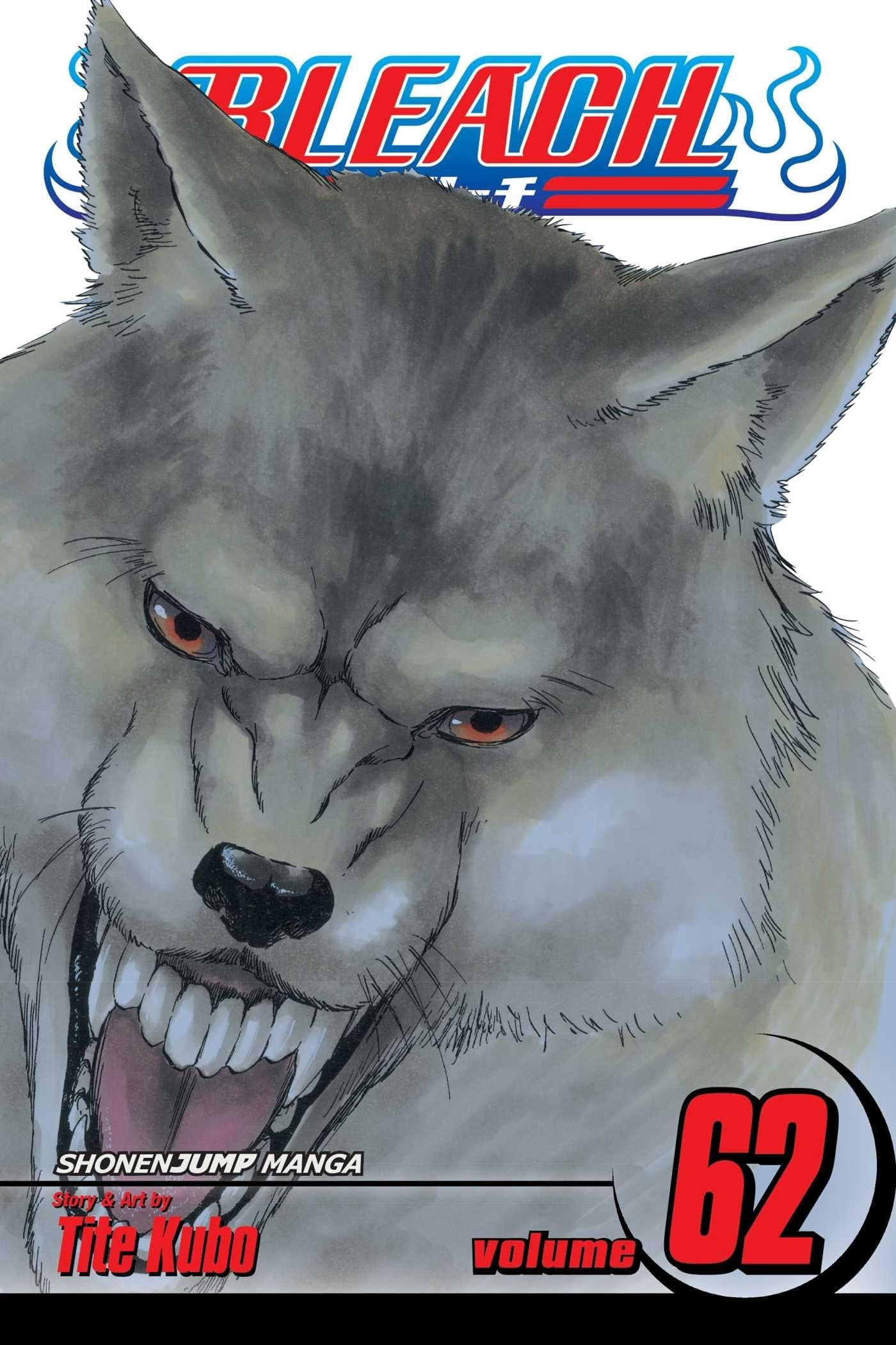 Bleach #62 cover