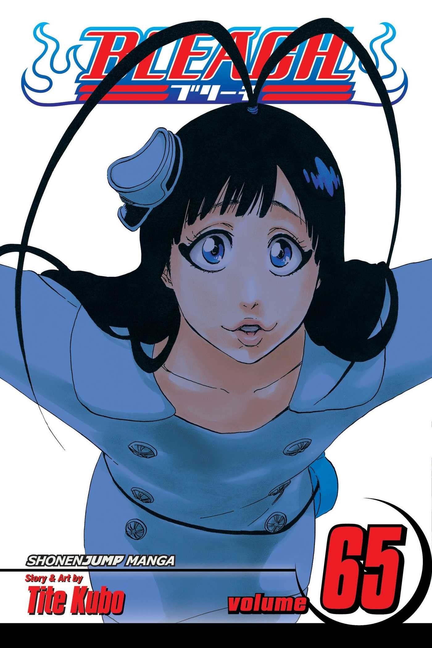 Bleach #65 cover