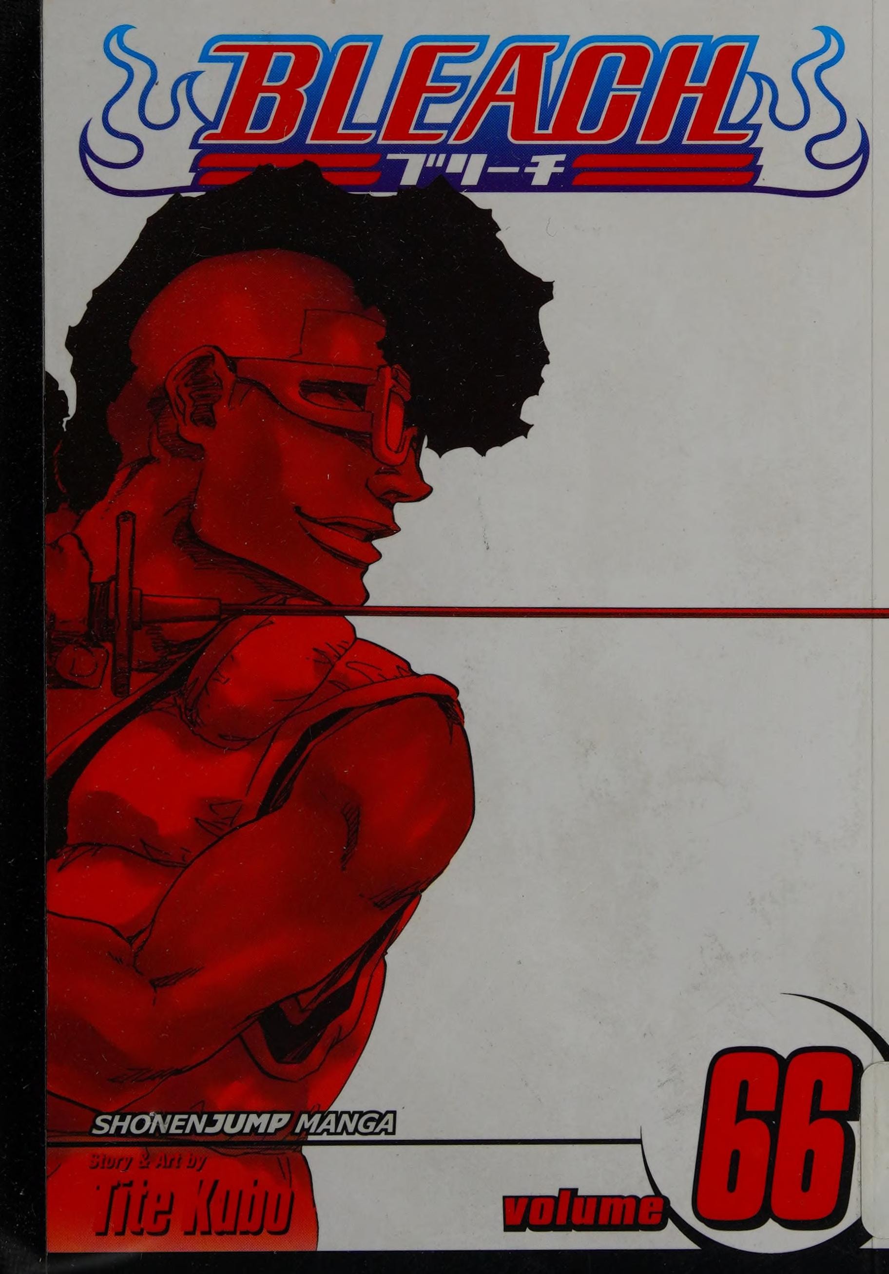 Bleach #66 cover