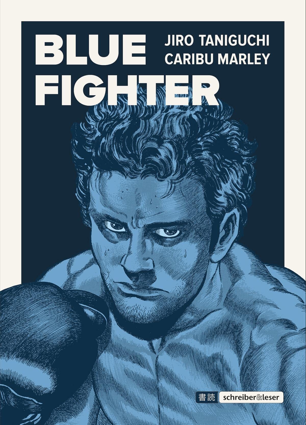 Blue Fighter #[nn] cover