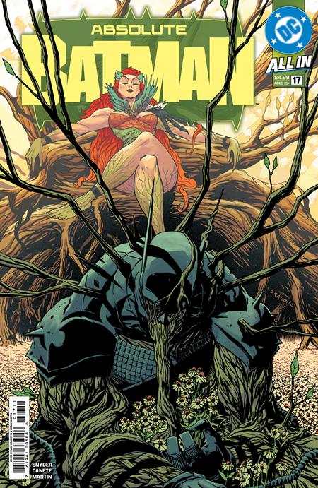 Absolute Batman #17 cover