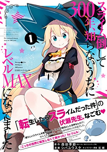 スライム倒して300年、知らないうちにレベルMAXになってました