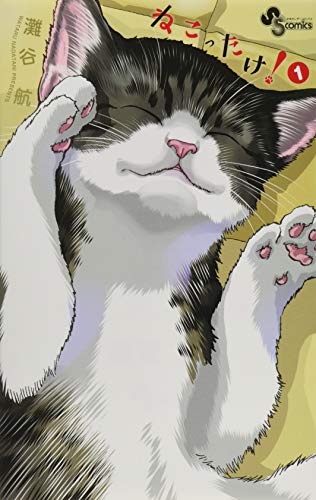 ねこったけ! [Nekottake!] #1 cover