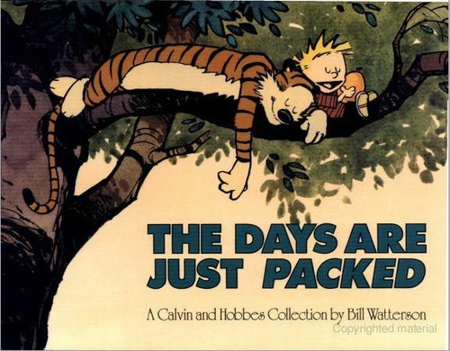 The Days Are Just Packed #[nn] cover
